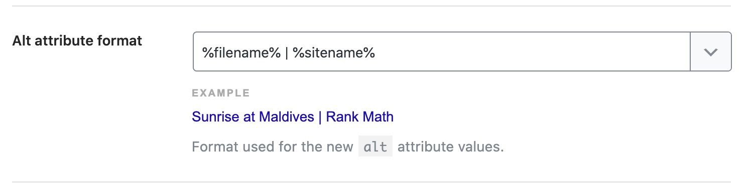 Alt attribute format