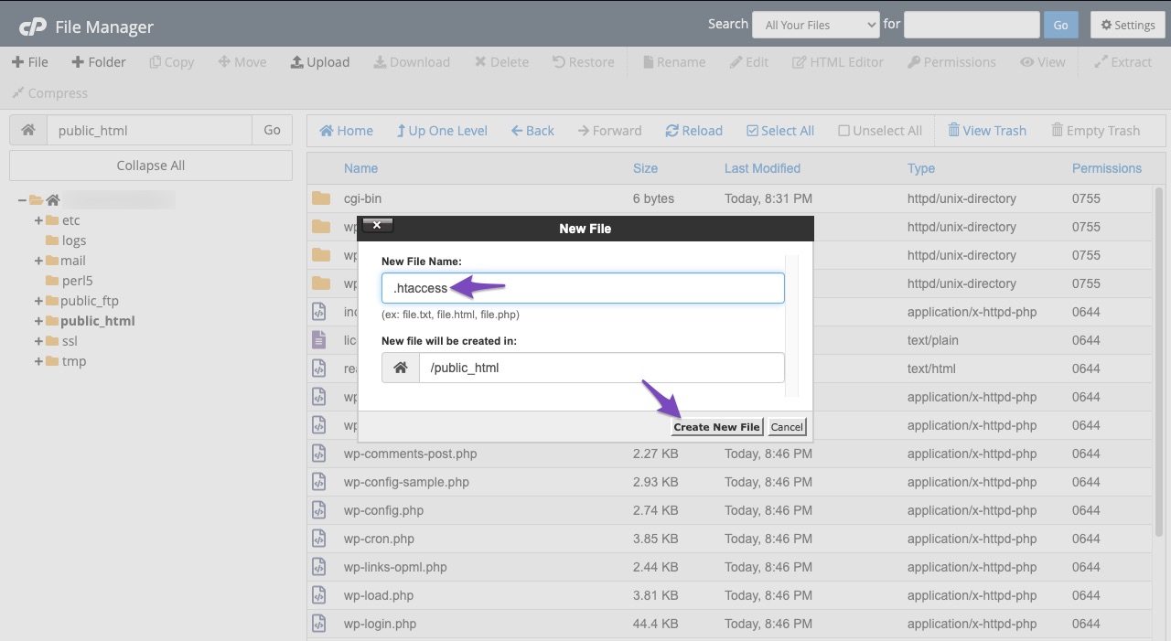 Create htaccess file in cPanel File Manager