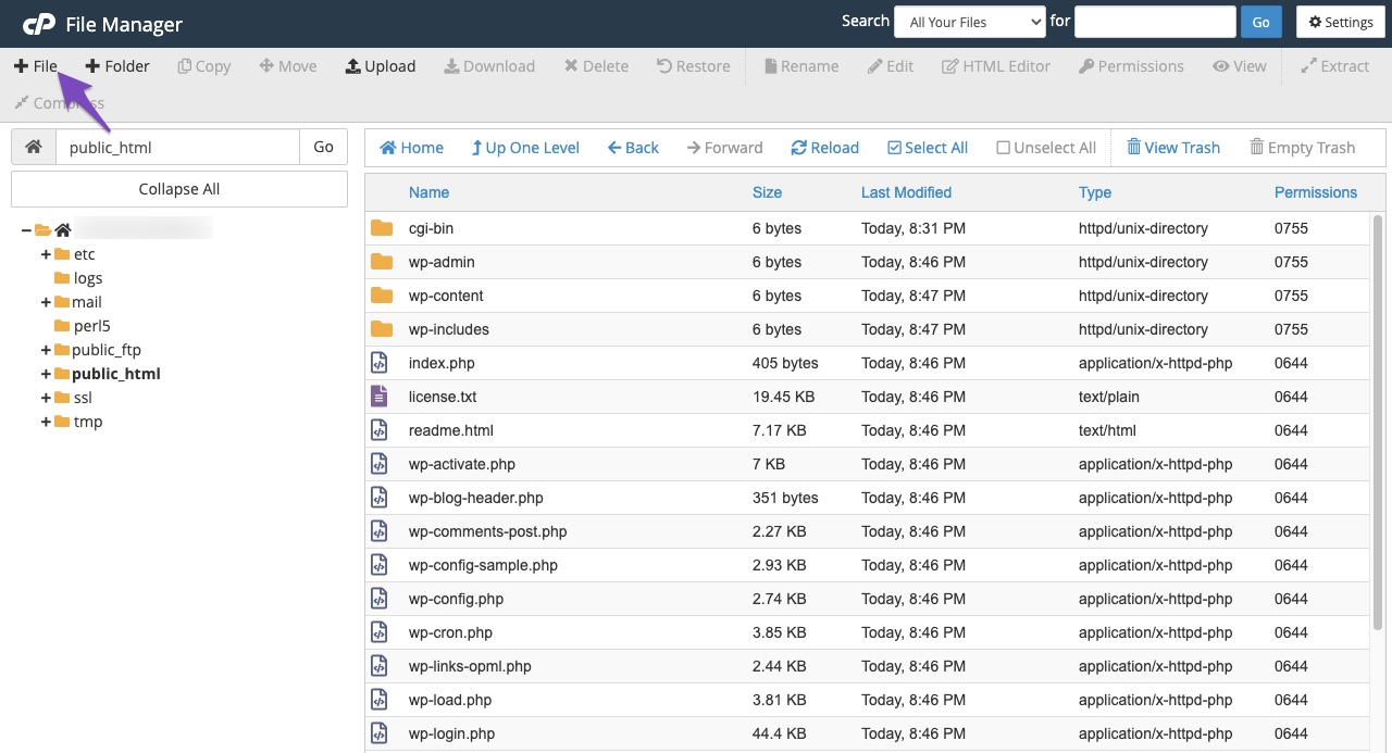 Create a new file in File Manager