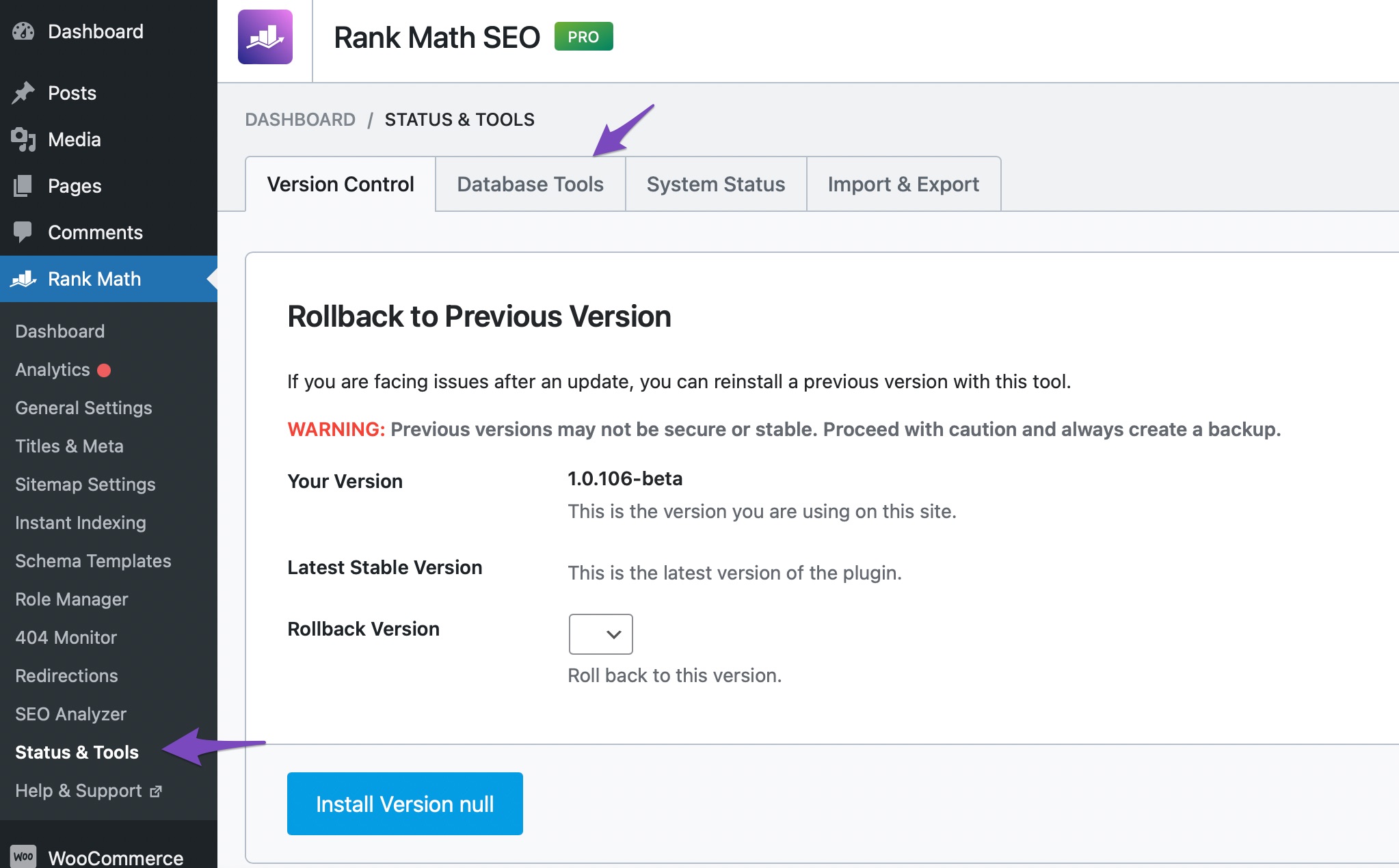 Access Rank Math Database Tools