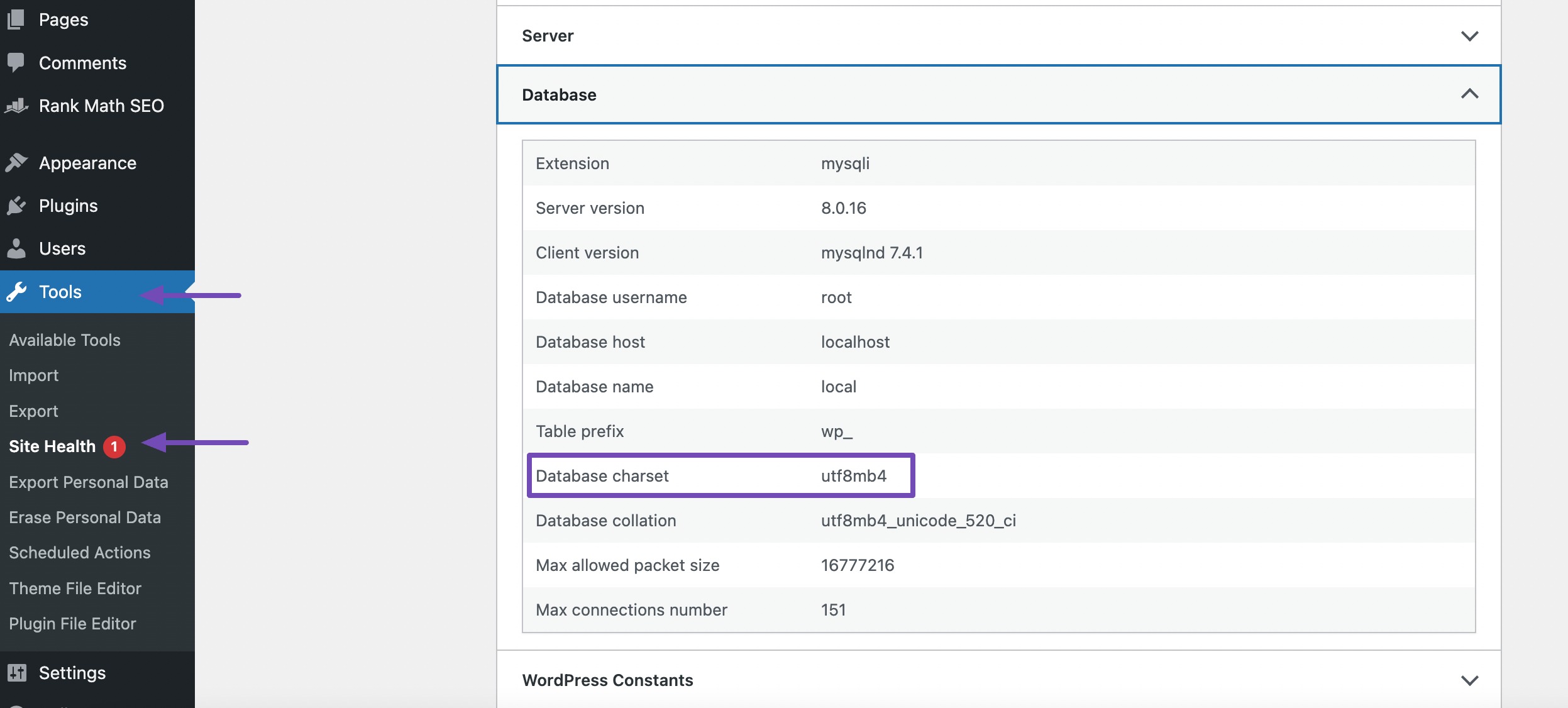 Set database charset