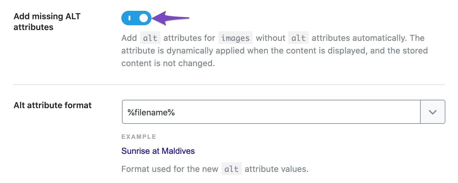 Enable add missing ALT attributes option