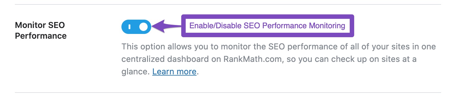 Monitor SEO Performance