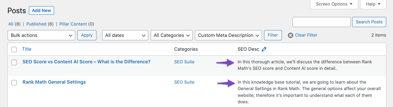 Filtered posts with custom meta description